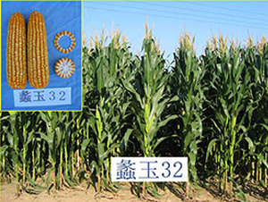 ���32̖(h��o)-���׷N��-���