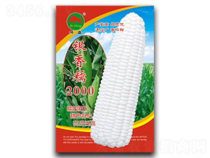 �y��Ŵ2000-���׷N��-��ʢ�N�I(y��)