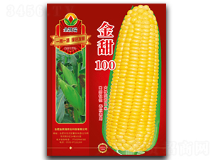 ����100-���׷N��-���P��