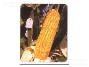 LZ02-���׷N��-���N