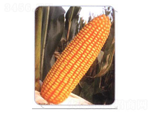 LZ07-���׷N��-���N