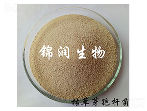 �ݲ�ѿ�ߗU��-�\��(r��n)����