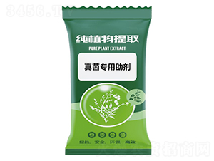 �����������-ǧ���