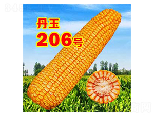 ����206̖(h��o)-���׷N��-����N�I(y��)