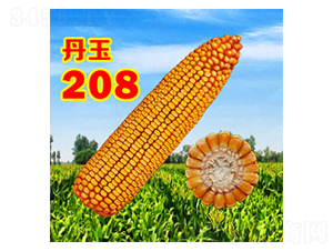 ����208-���׷N��-����N�I(y��)