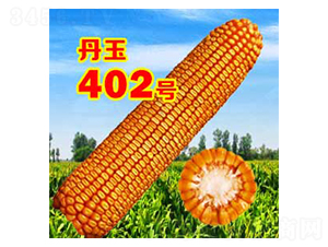 ����402̖(h��o)-���׷N��-����N�I(y��)