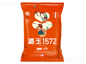 º��1572-���׷N��-º��N�I(y��)