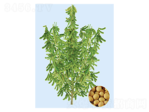 �F��48-�󶹷N��-���S�N�I(y��)