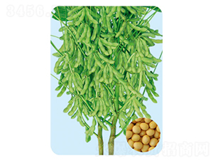 �|��38-�󶹷N��-���S�N�I(y��)