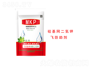 ������w������-����W(w��ng)-�����