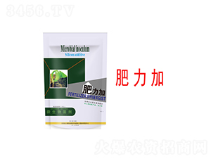 ΢�������-������-�����