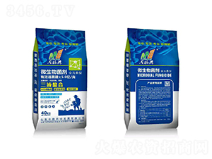 ΢�������-������-�����A��