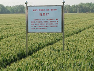 ����77-С���N��-���ǷN�I(y��)