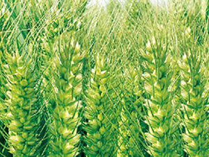 ����68-С���N��-���ǷN�I(y��)