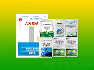 С�����ó��݄��ײͣ�2��-�����g��-����