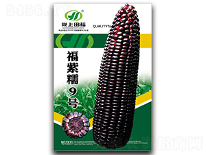 ����Ŵ9̖-���׷N��-�︣�r(n��ng)�I(y��)