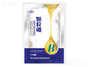 �w����-���ʘI(y��)