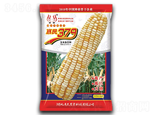 ����379-���׷N��-�����r(n��ng)�I(y��)