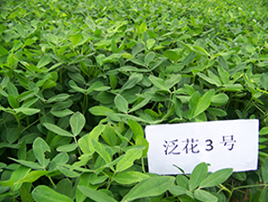 ����3̖-�����N��-����N�I(y��)