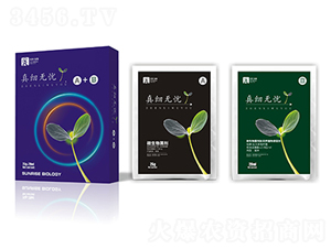 ΢�������-�漚�o�nA+B-��������