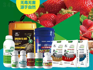 ��ݮʩ�ʷ���-(li��n)��μ�