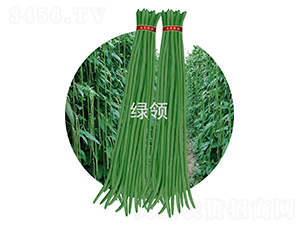 JK23-���ǷN��-�G�I�N�I(y��)