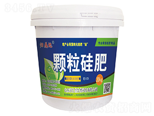 �w�����-�֠���(y��u) 