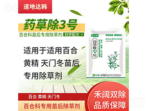 �ٺ��S�����T����ó��݄�-ˎ�ݳ�3̖-�����_(d��)�n