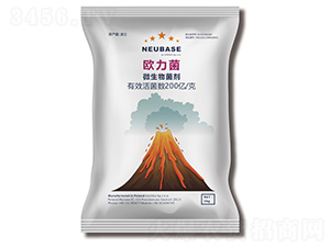 ΢�������-�W����-����}