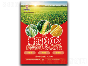 �ؼZ302-���׷N��-���r���