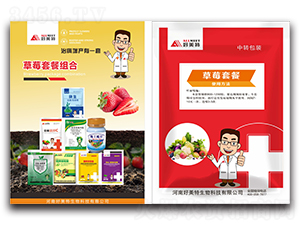 ��ݮ�ײͽM��-������