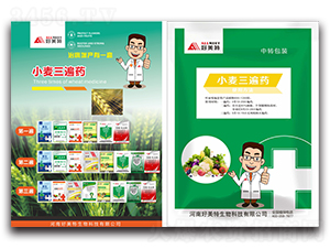 С������ˎ-������