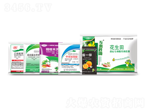 ����������ó��݄��ײ�-���݄��z