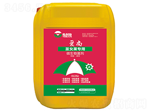 ʥŮ������΢�������-���С�����ʩ-�϶�a(ch��n)