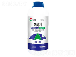 ���Y(ji��)���x(ch��ng)������΄�-������-�϶�a(ch��n)