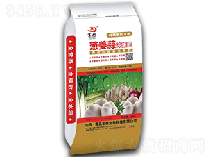 �[����_ʩ��-܊�x-������ 