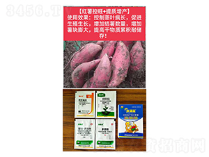 ���t������+���|(zh��)���a(ch��n)��-�֝M�@-�Z�M��