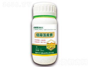 �������S��-٤�נ�-ľ�̼ь�