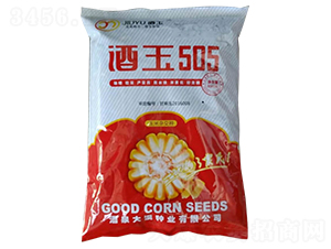 ����505-�����s���N-����N�I(y��)