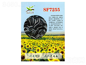 SF7255���տ��N��-����N�I(y��)