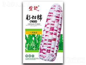 ����Ŵ168-���׷N��-���_(d��)