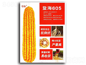 �Ǻ�605-���׷N��-�|���r(n��ng)�I(y��)