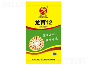 ����12-���׷N��-����