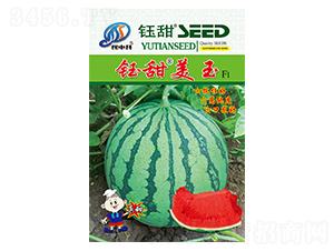 �������-���ϷN��-�����r(n��ng)�I(y��)