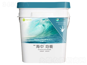 ����_ʩ��-����-�������