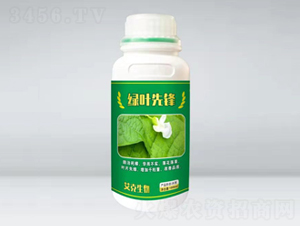 綠葉先鋒（瓶）-艾克生物