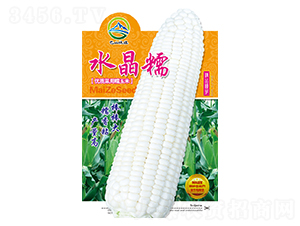 ˮ��Ŵ-��ɽ�G��-�G���r(n��ng)�I(y��)