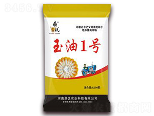 ����һ̖-���׷N��-����(y��u)�r(n��ng)�I(y��)