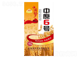 ��ԭ6̖-С���N��-�T�S