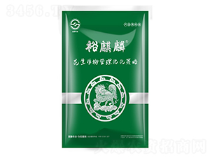 ���b����������탞(y��u)������-ԣ����-ʥ���r(n��ng)�I(y��)